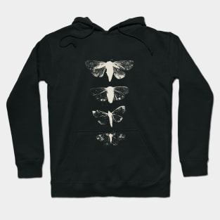 Moths Hoodie